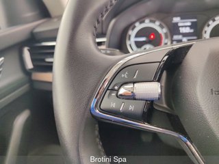 SKODA Kamiq 1.0 TSI 110 CV Black Dots 13